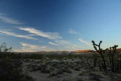 DSC_0291 (Large).JPG